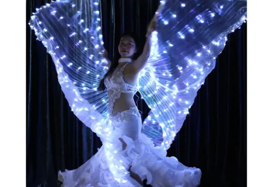 Ezlibell-Belly Dance Light bright Angel Special effect- 360 degree wings-25 days shipping