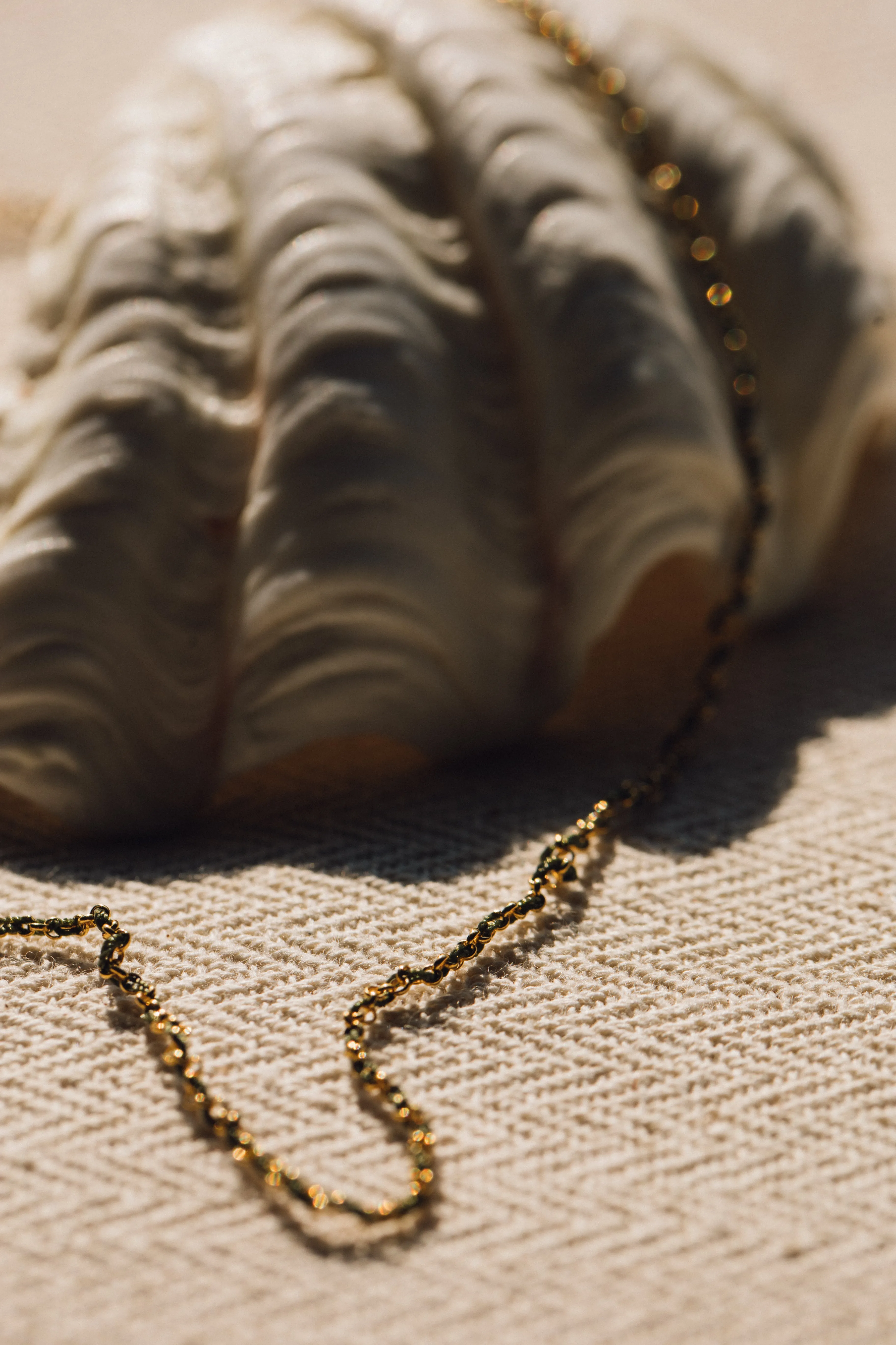 Gold-Vermeil chain necklace / ROLLO