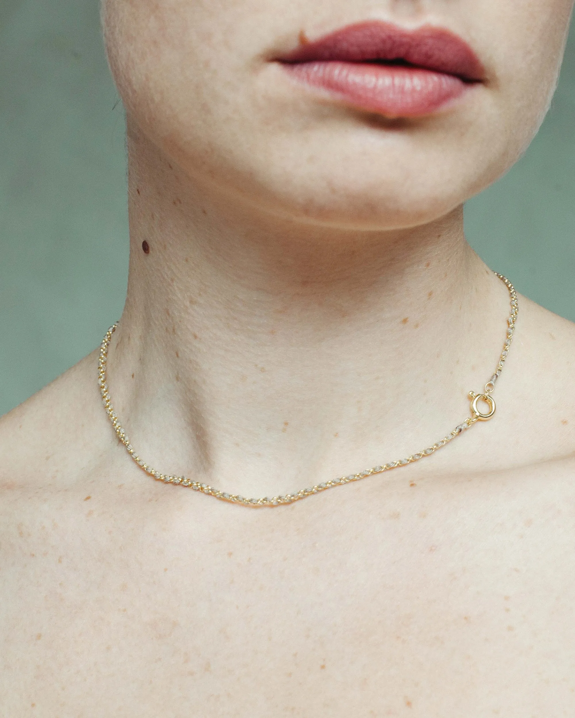 Gold-Vermeil chain necklace / ROLLO