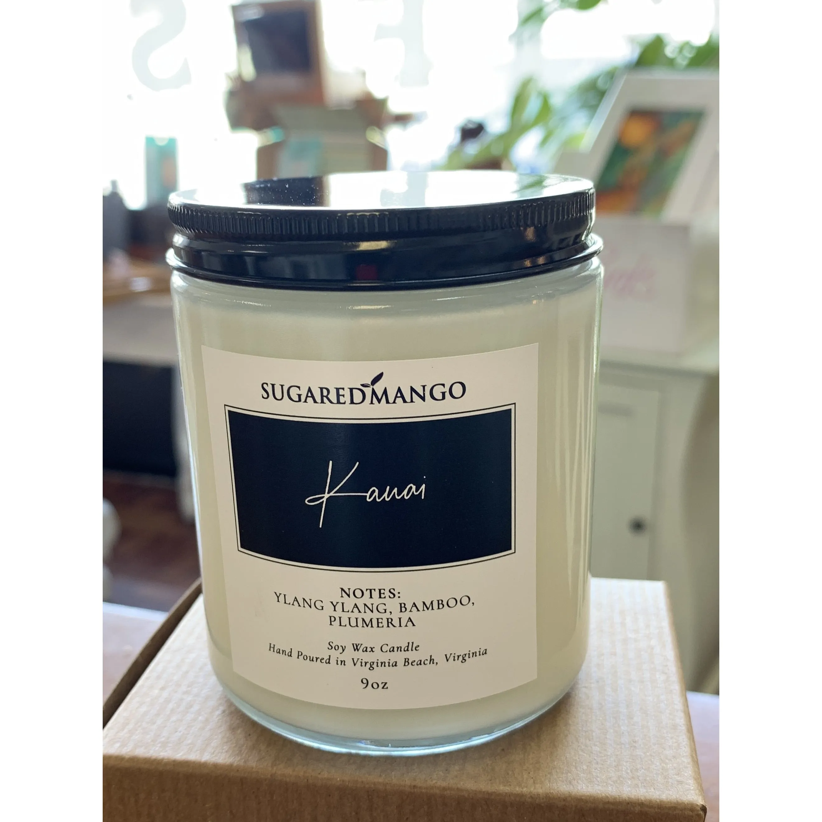 Kauai Scented Soy Coconut Candle