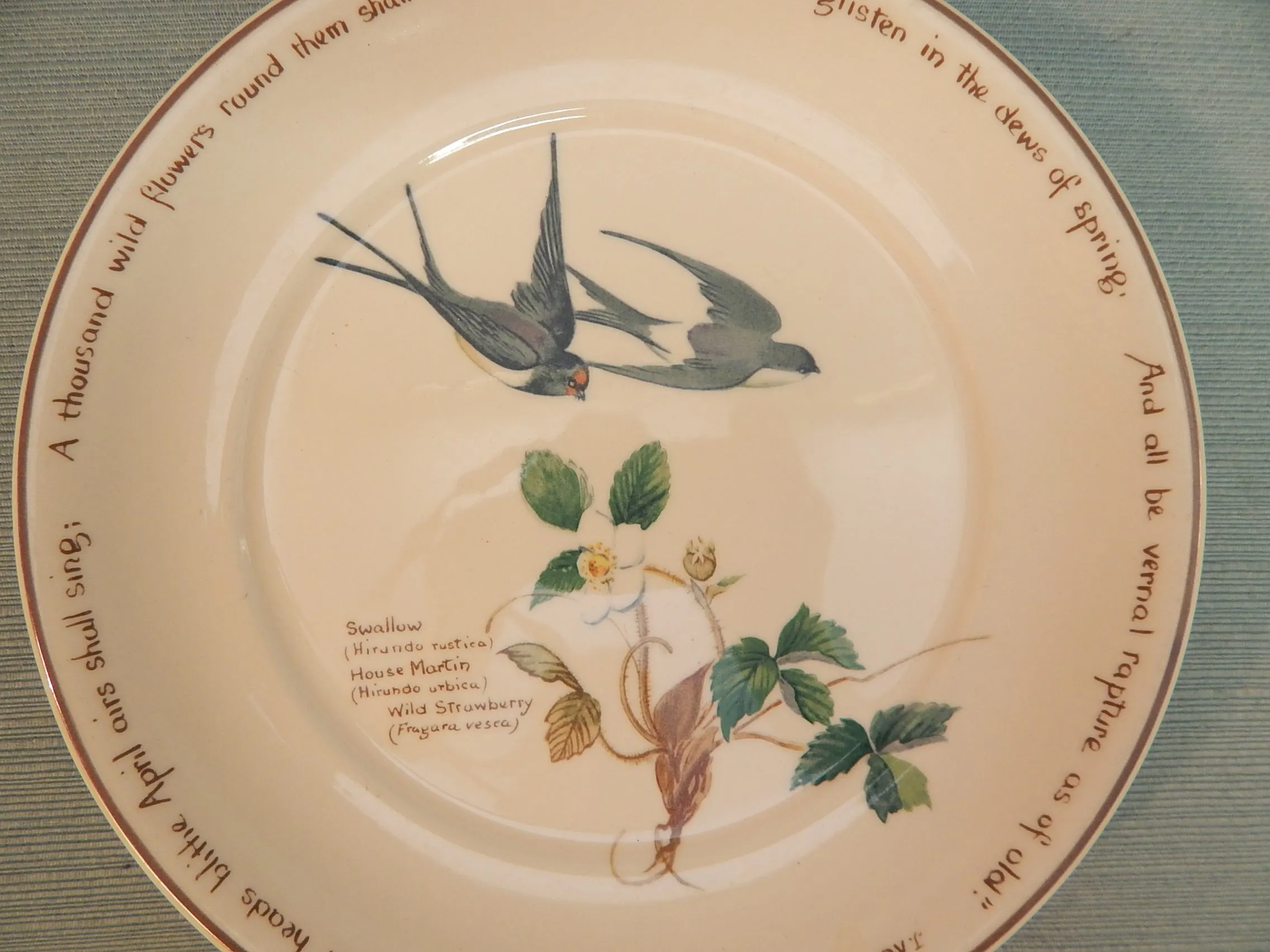 Noritake Ireland "The County Diary of an Edwardian Lady" Salad Plates - Very Good Condition