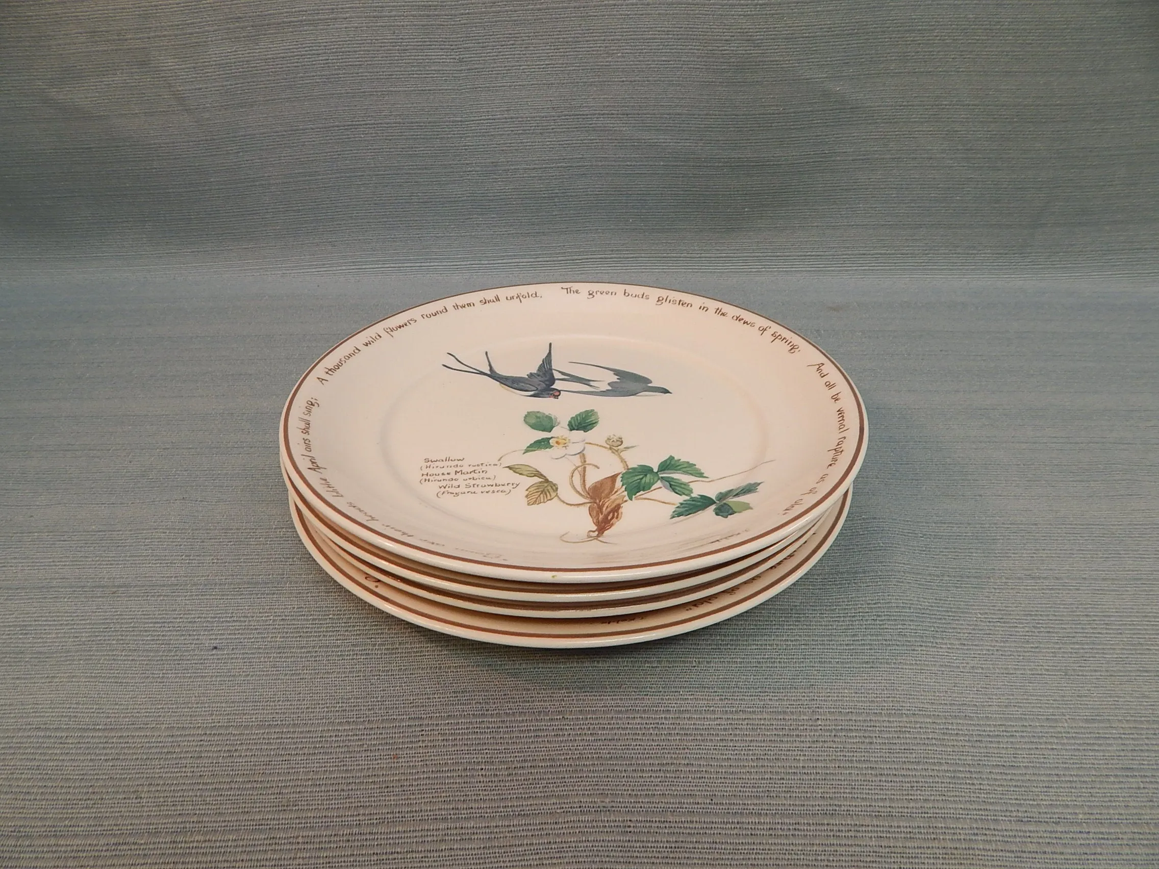 Noritake Ireland "The County Diary of an Edwardian Lady" Salad Plates - Very Good Condition