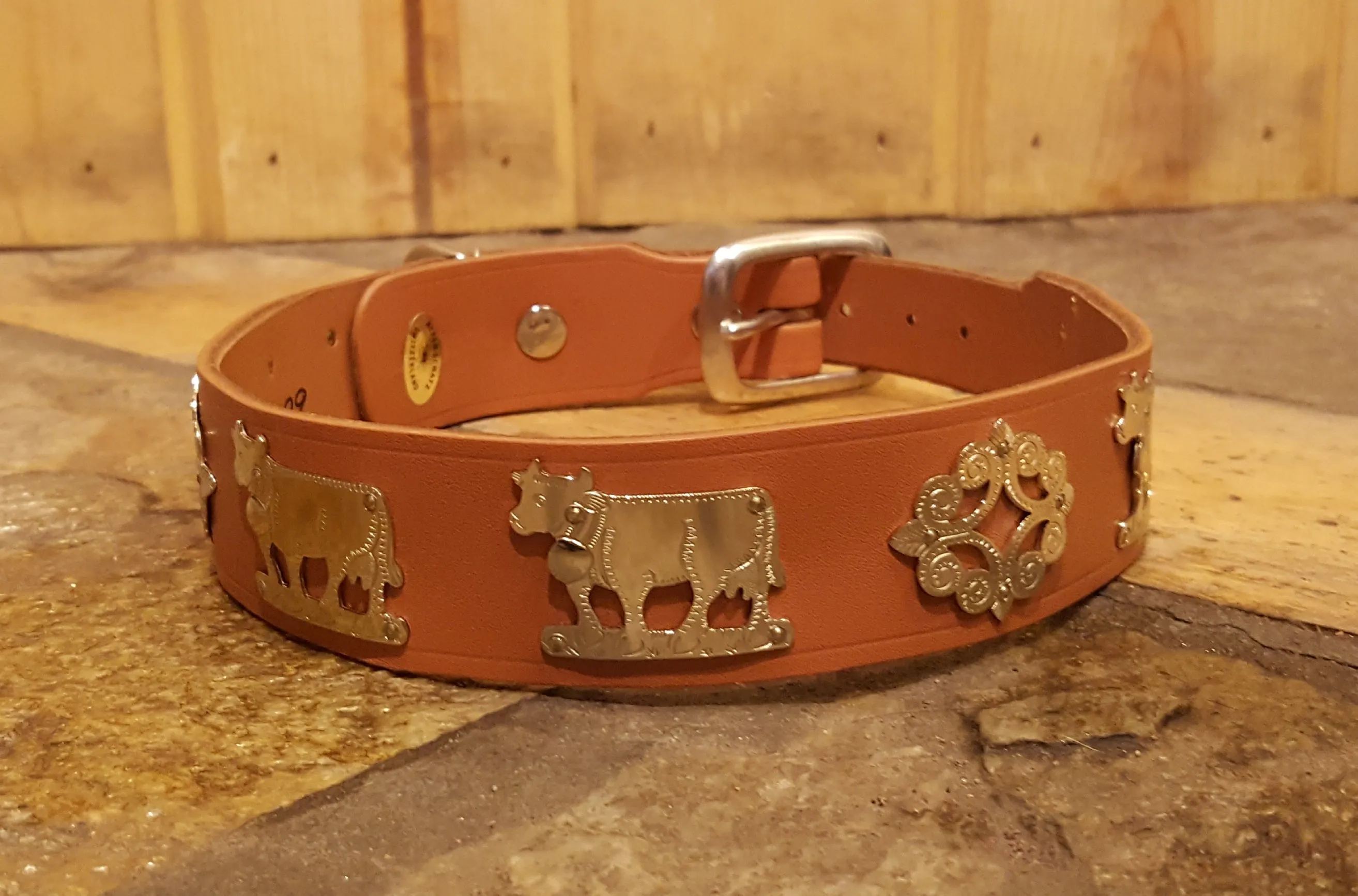 Overstock Sale! 1 1/4" Medium Contemporary Swiss Dog Collar