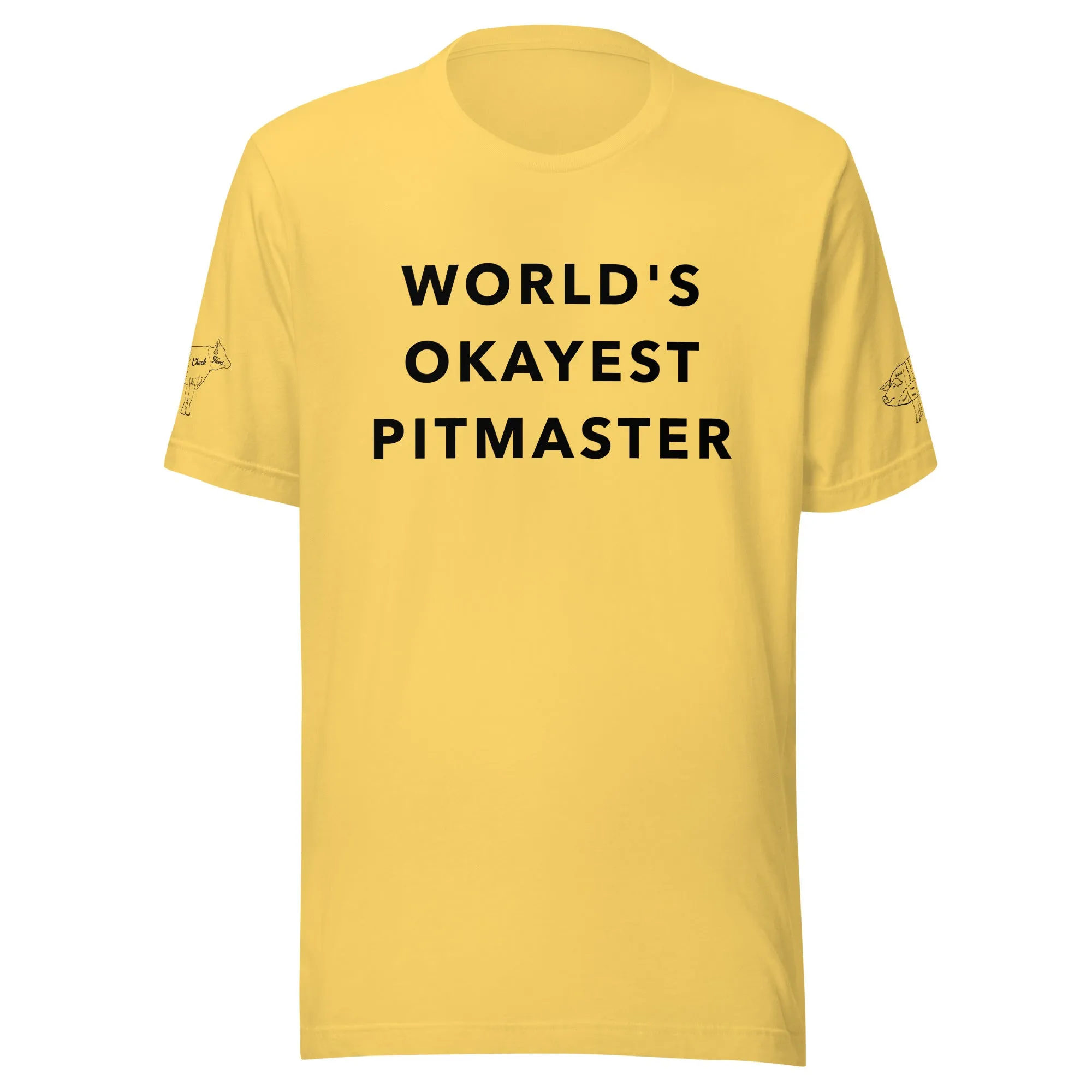 World's Okayest Pitmaster t-shirt