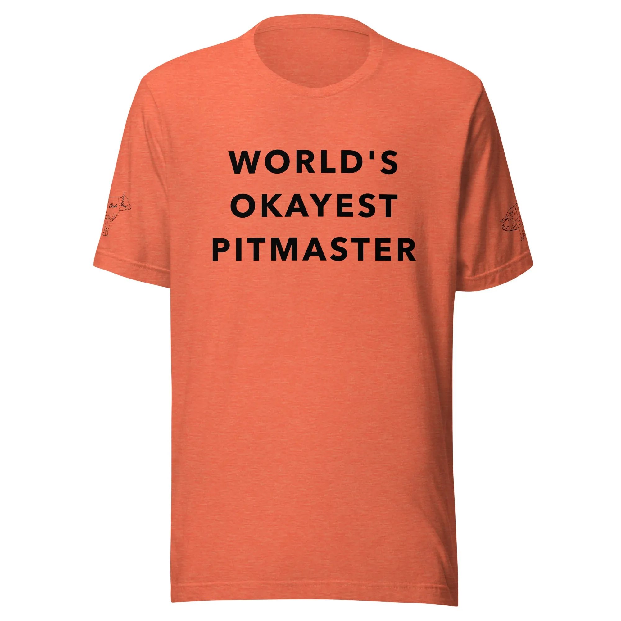 World's Okayest Pitmaster t-shirt